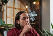 Smoking Damiana: Everything You Need to Know smoking damiana